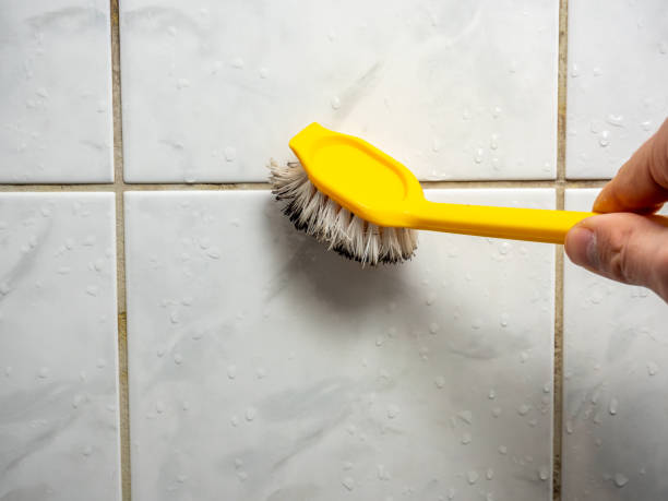 Best Mold Testing  in Tinton Falls, NJ
