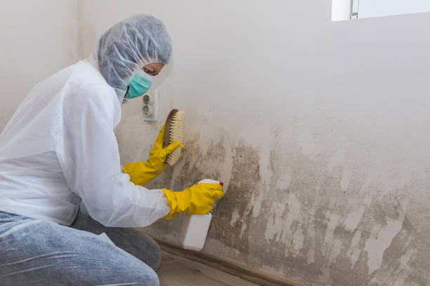 Best Commercial Mold Removal  in Tinton Falls, NJ