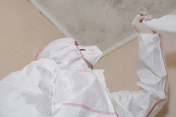 Best Toxic Mold Removal  in Tinton Falls, NJ