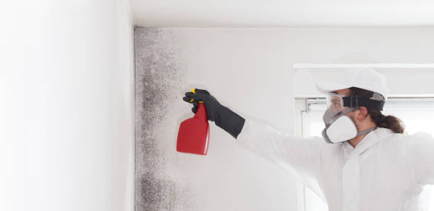 Best Mold Removal Process  in Tinton Falls, NJ