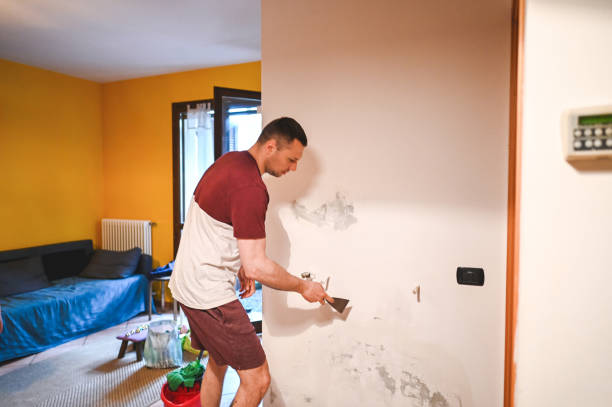 Best Attic Mold Removal  in Tinton Falls, NJ