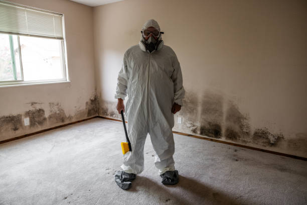 Best Home Mold Removal  in Tinton Falls, NJ